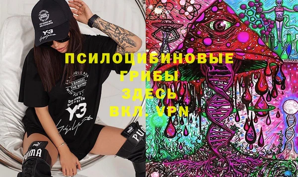 ешки Верхний Тагил