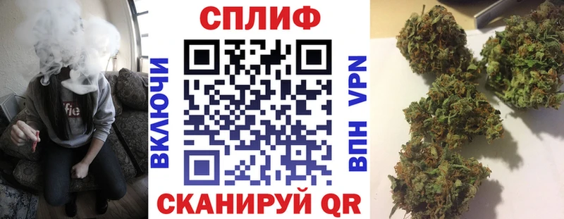 Конопля семена  где найти   Можайск 